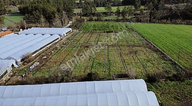 Satılık Arsa , Köyiçi Sera Manavgat Çardak