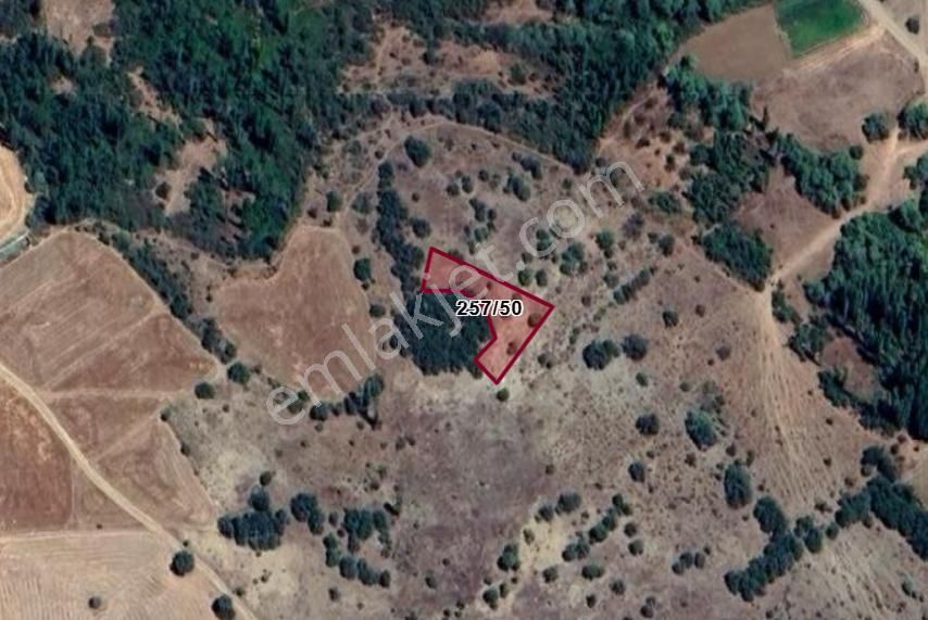 Konya Çumra Çiçek Köyünde 735 M² Bağ Satılıktır