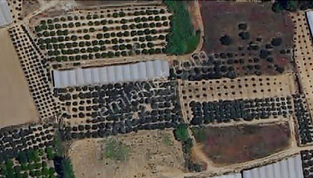 Aksu Mandırlar'da Satılık Tarla