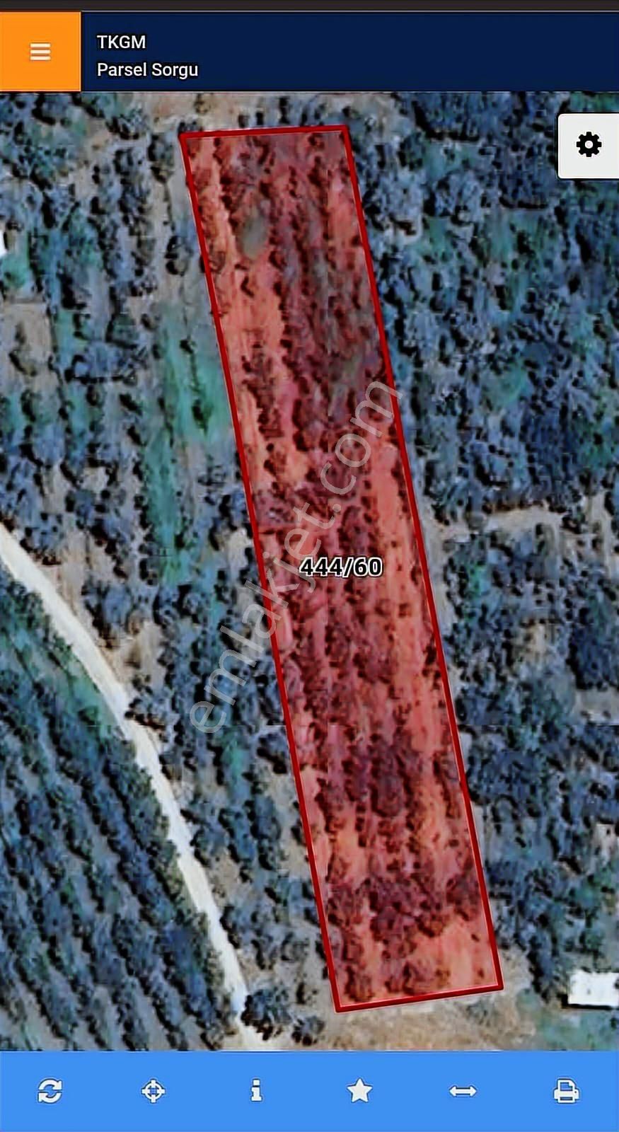 Kemalpaşa Bağyurdu Yeni Mah 170 Adet Kiraz Ağaçlı Tarla 3000m M2 - Görsel 14