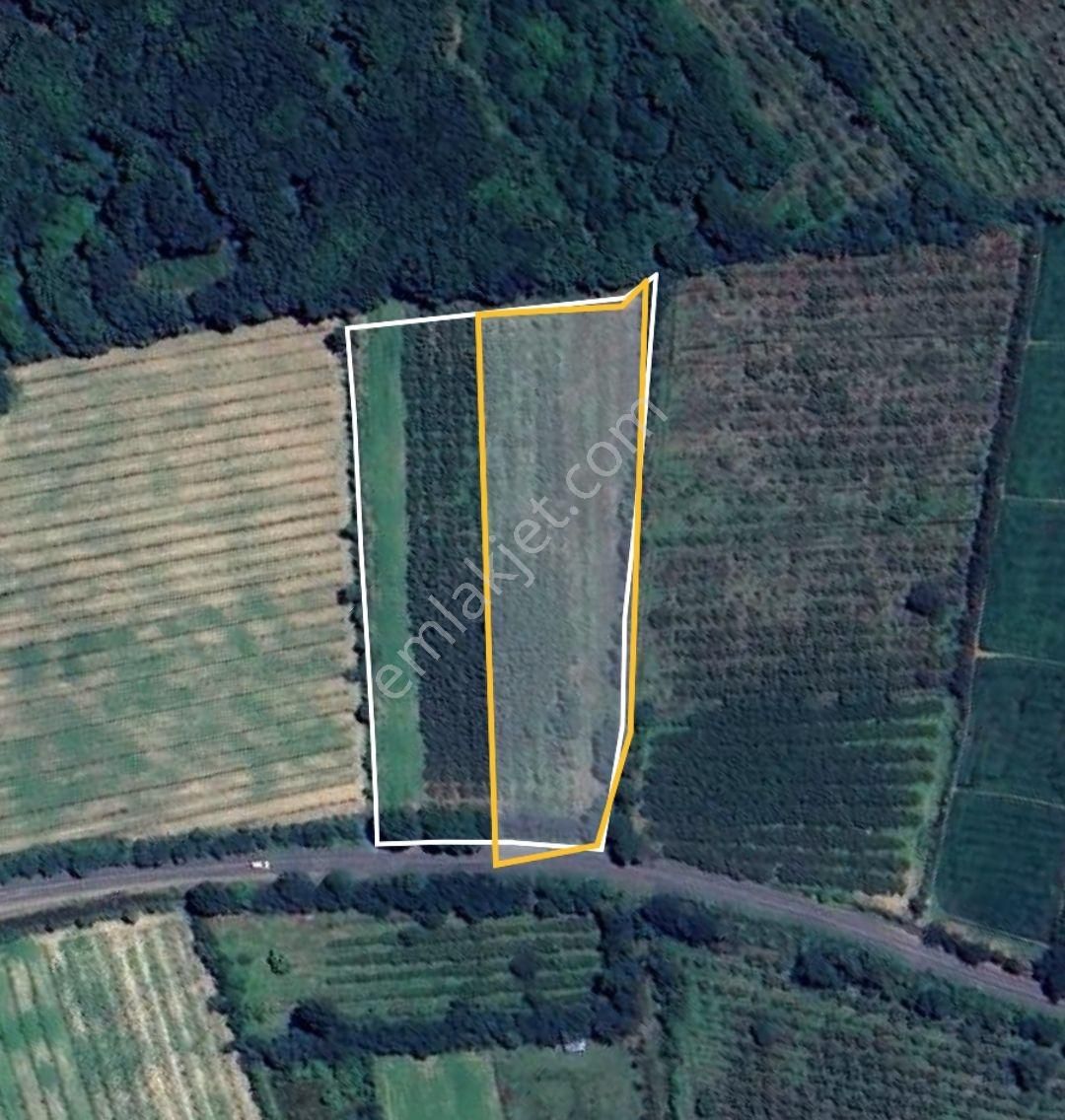 Görgülü Emlaktan Satılık Arazi