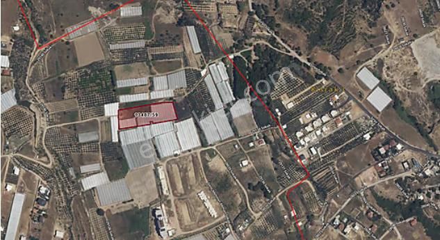 Satılık Tarla Antalya Aksu Mandırlar'da - Görsel 4