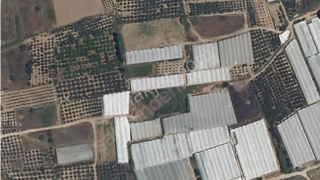 Satılık Tarla Antalya Aksu Mandırlar'da