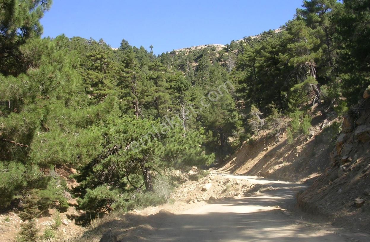 Mersin Mut Müstakil Ev Tapu Sahibi Perta Emlak Ümit Tahmaz - Görsel 23