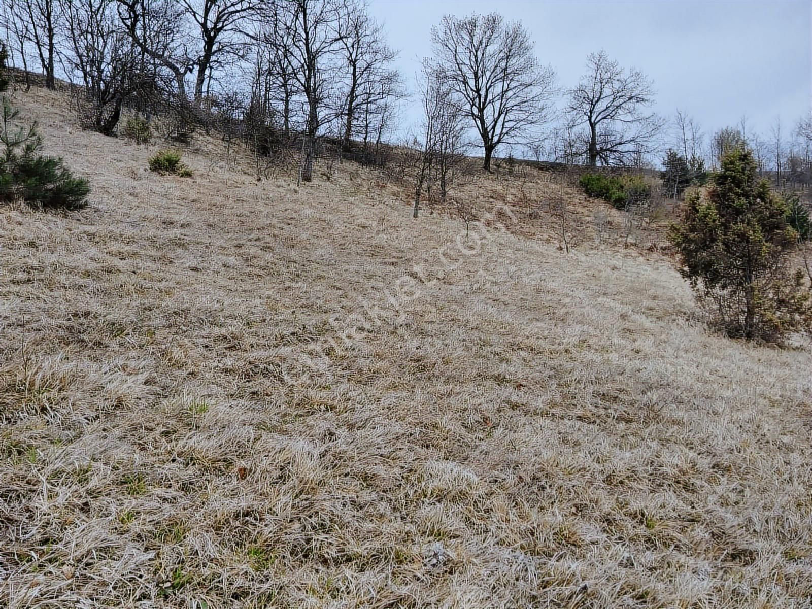 Bursa İznik Mecidiye 7638 M2 Satılık Tarla - Görsel 16