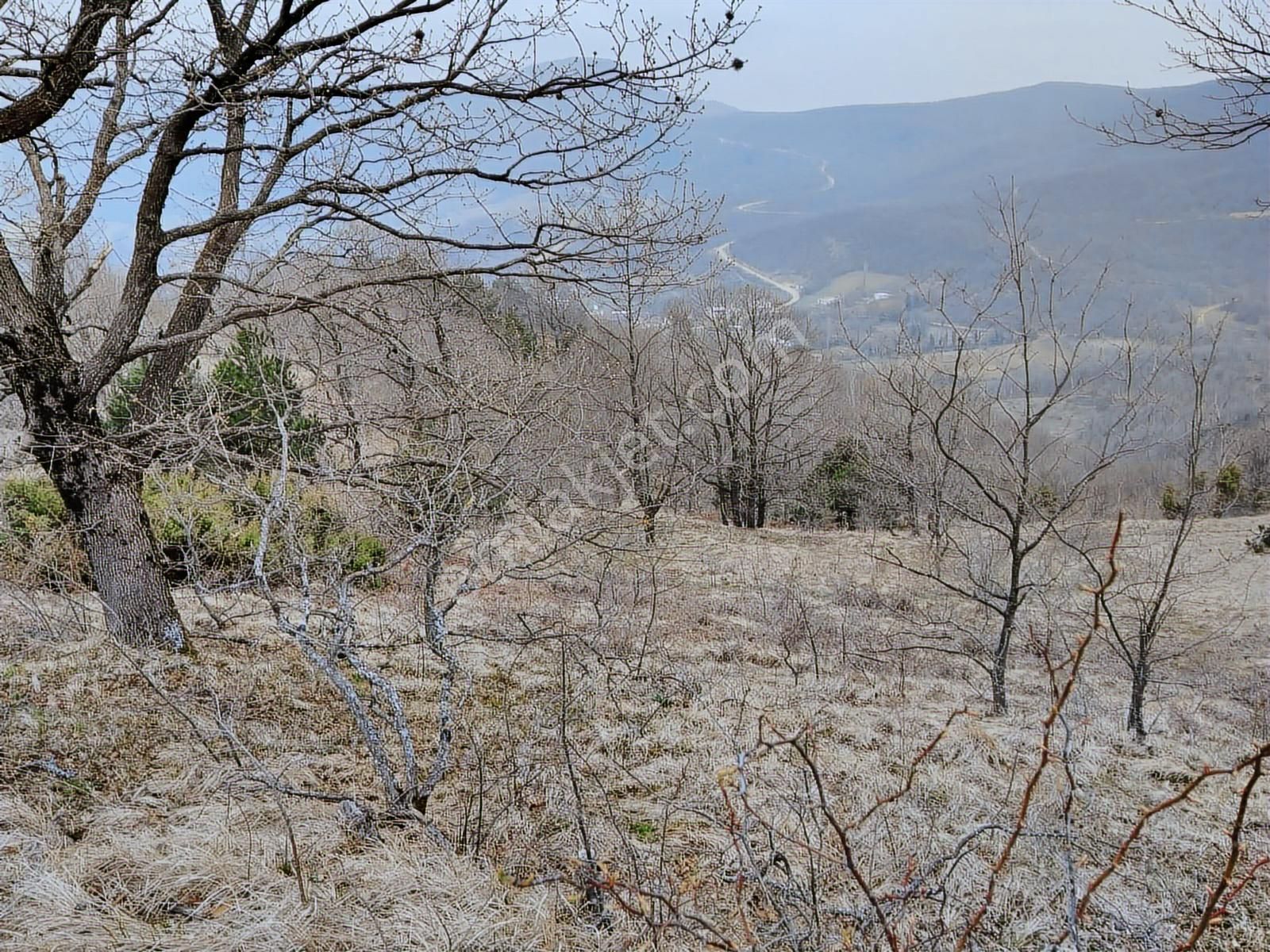 Bursa İznik Mecidiye 7638 M2 Satılık Tarla - Görsel 12