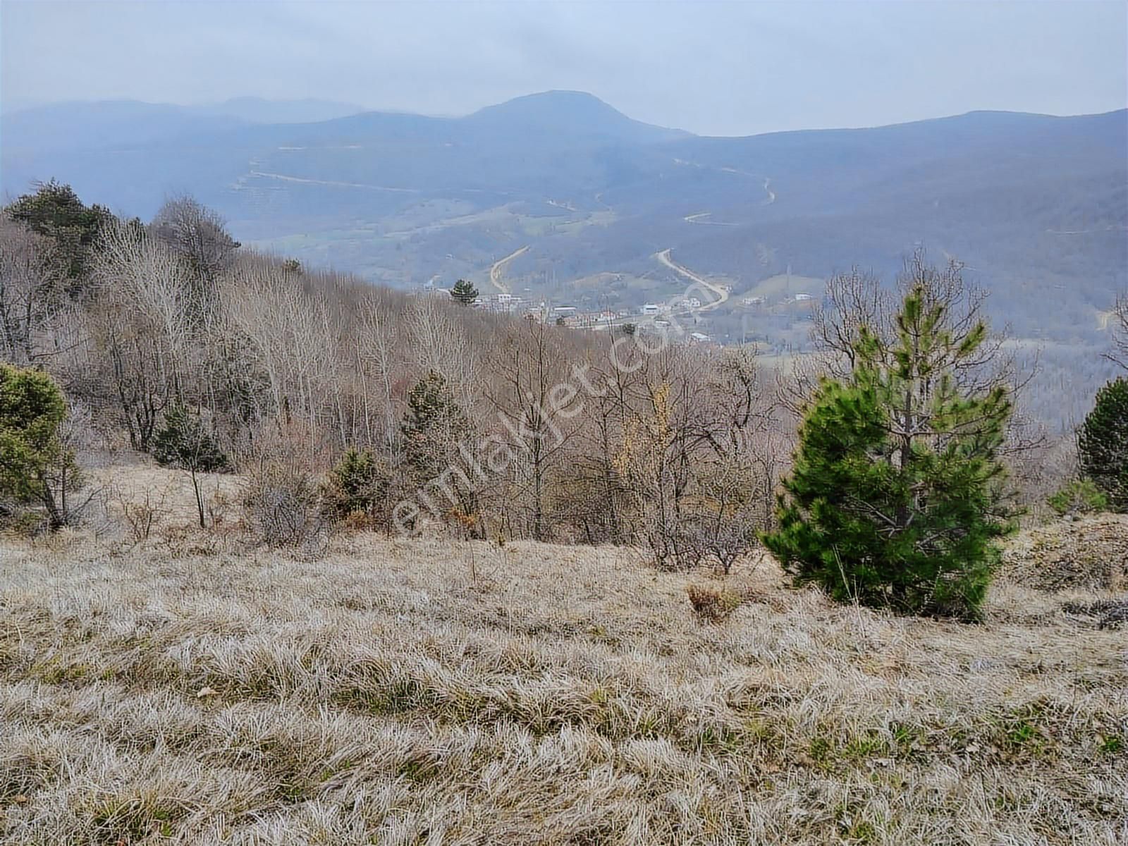 Bursa İznik Mecidiye 7638 M2 Satılık Tarla - Görsel 14