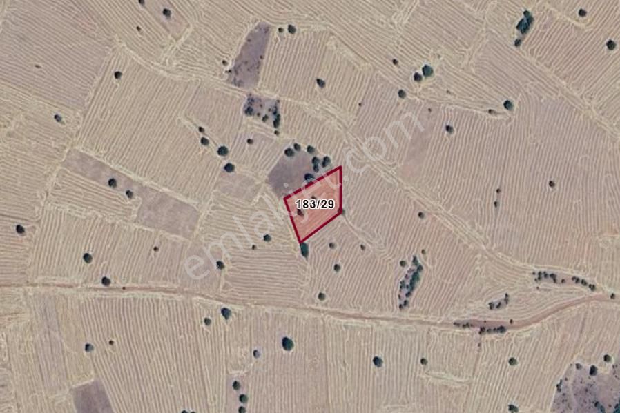 Konya Güneysınır Durayda Köyünde 2.948 M² Tarla Satılıktır