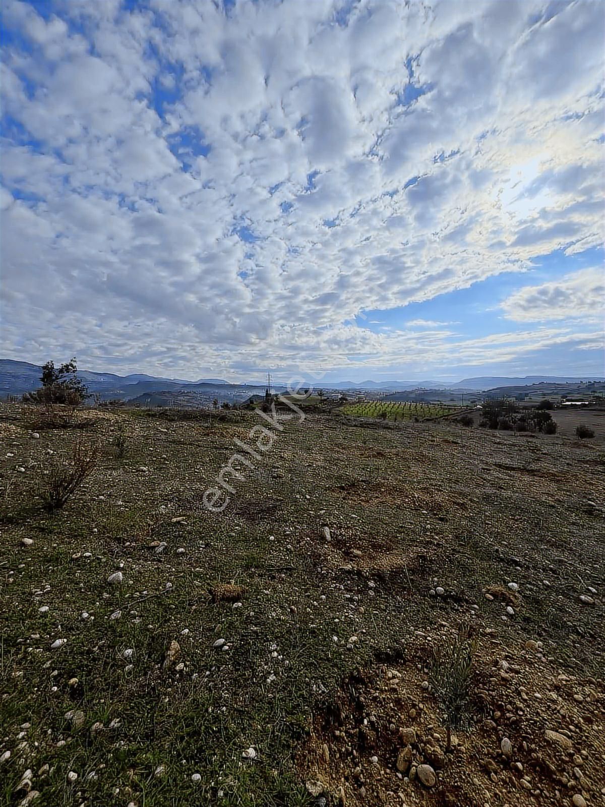 Demircilerde Satılık Tarla