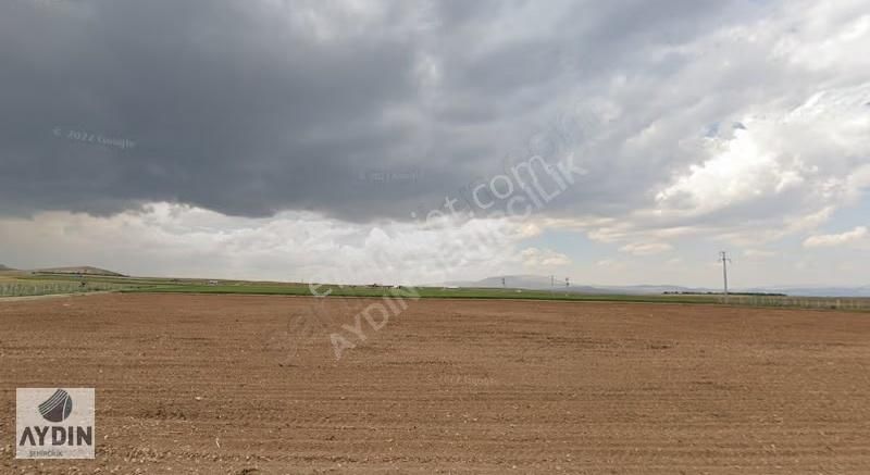 Aydın Satıyordan Meram Yenibahçe De 13.113 M2 Yola Cephe Tarla