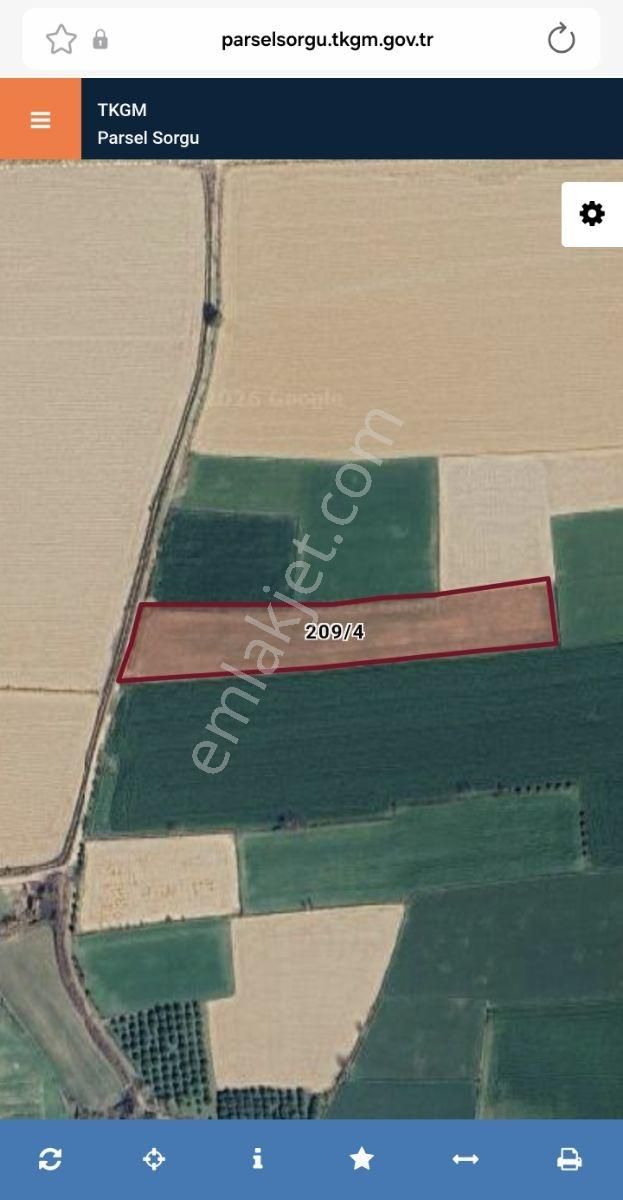 Şentürk Gayrimenkul |pirlibey Mah. De Ekime Hazır Tarla| 9.249m² - Görsel 7