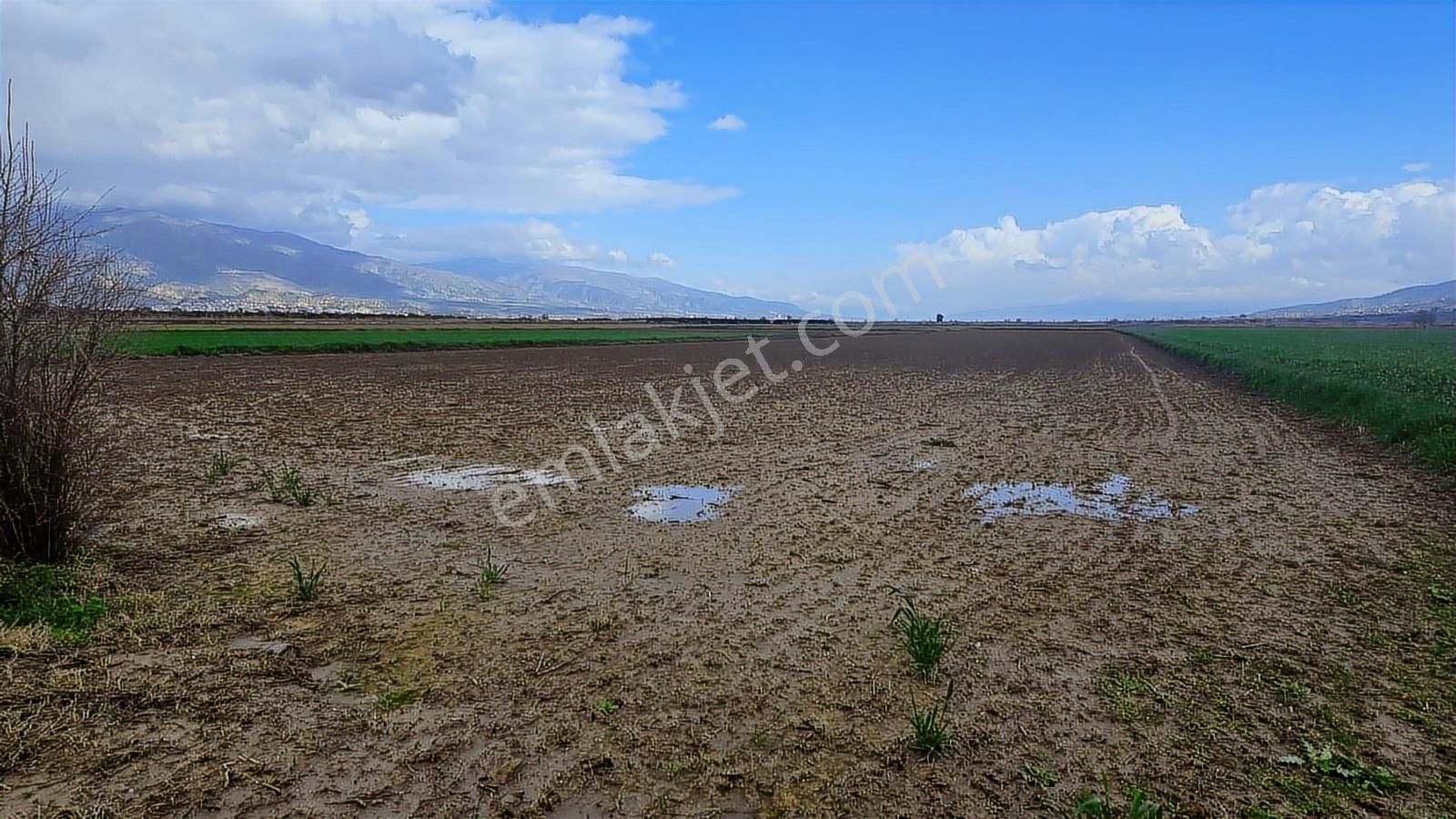 Şentürk Gayrimenkul |pirlibey Mah. De Ekime Hazır Tarla| 9.249m² - Görsel 4