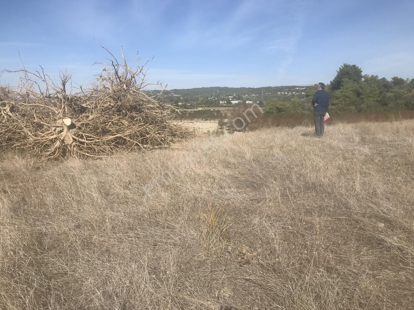 Antalya Manavgat Kalemler'de Satılık Arazi - Görsel 2