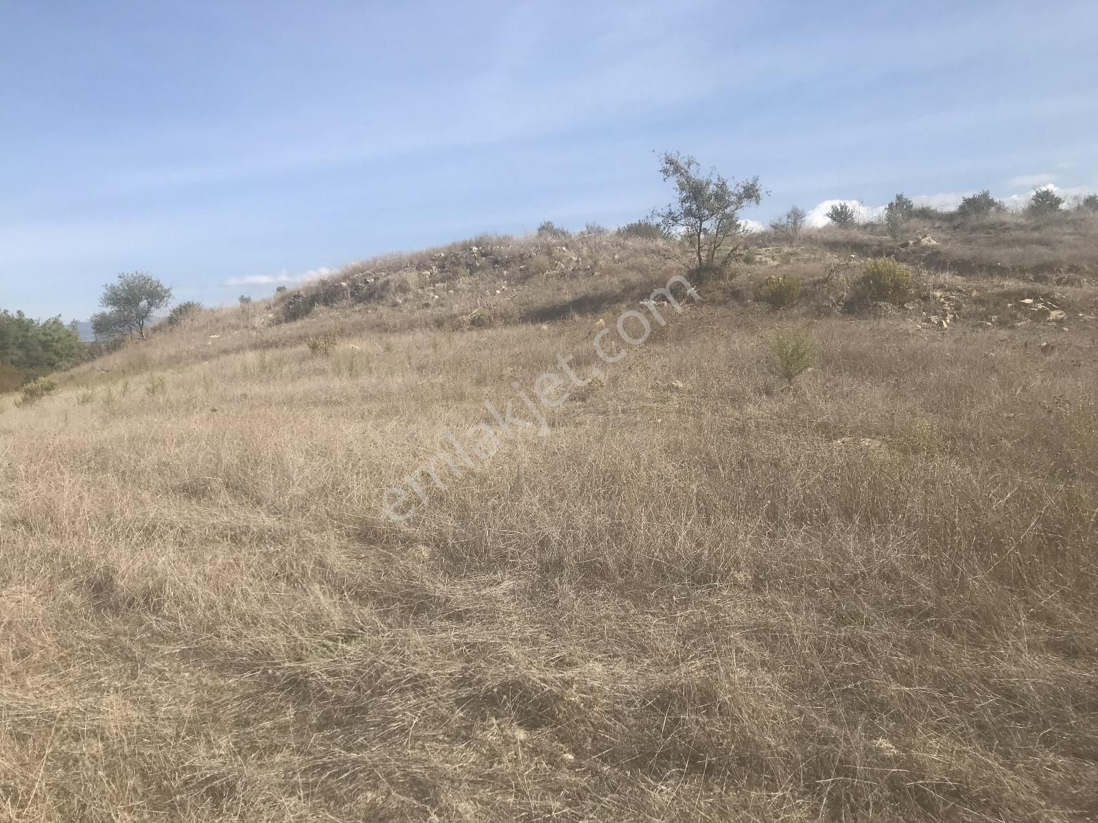 Antalya Manavgat Kalemler'de Satılık Arazi - Görsel 3