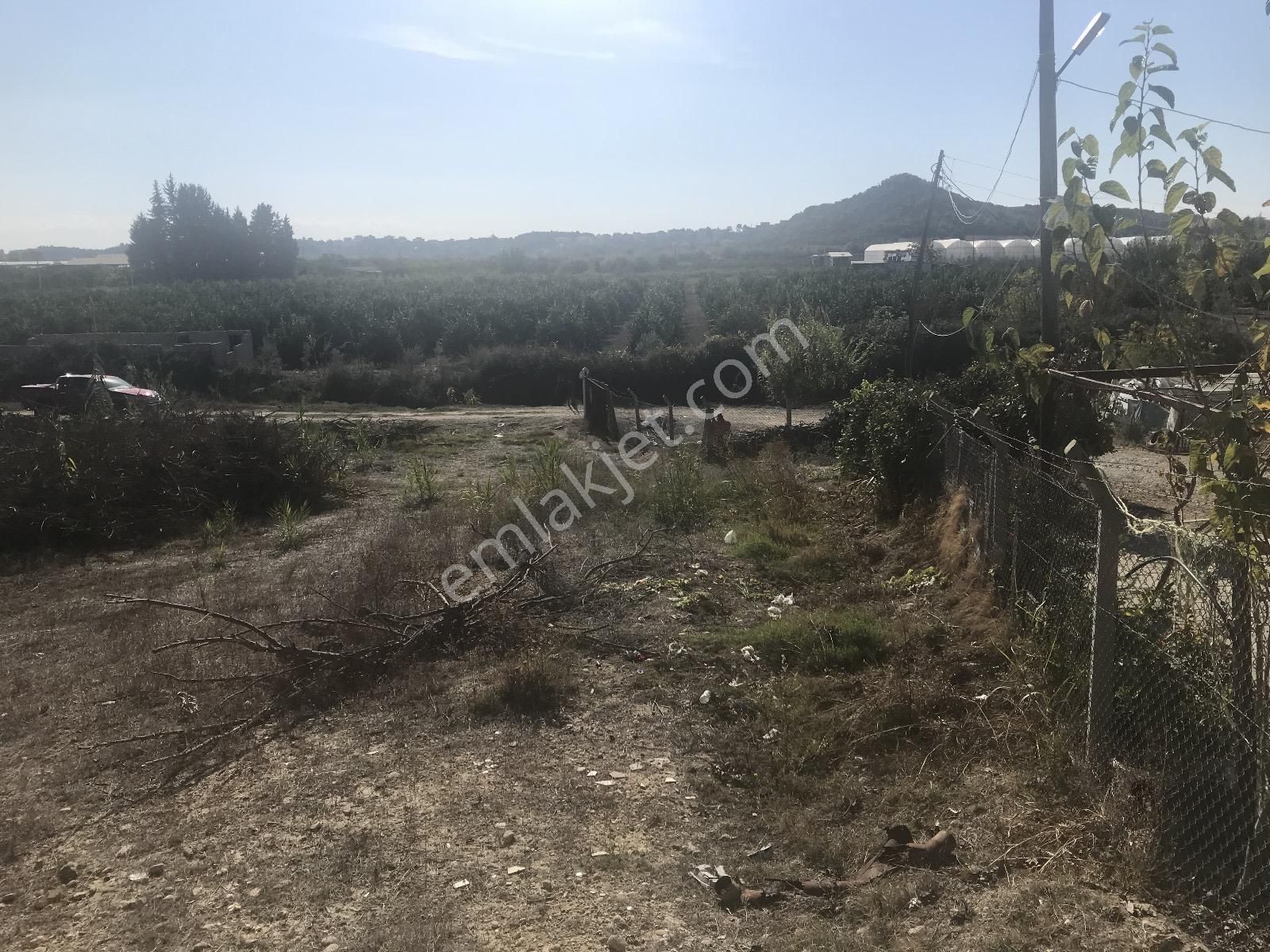 Antalya Manavgat Kalemler'de Satılık Arazi