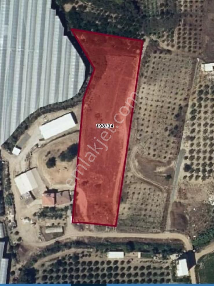 Antalya Manavgat Kalemler'de Satılık Arazi - Görsel 6