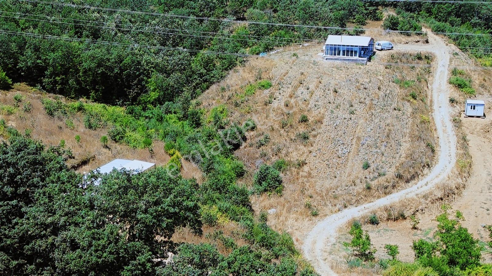 Muhtarımdan Karaağaç Mah. Köye 20 M Mesafede Hobi Bahçeleri - Görsel 23