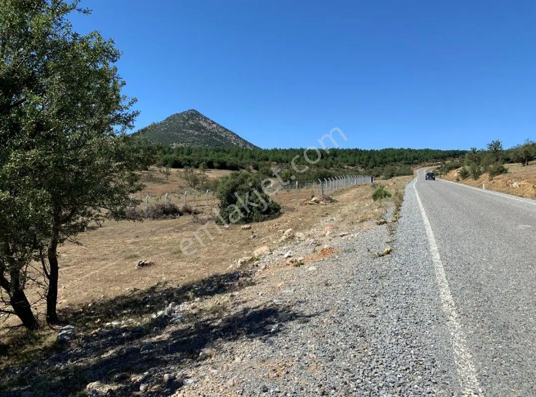 Tavas Aydoğdu Anayol Üzeri Asfalt Cephe 1600m2 Arazi