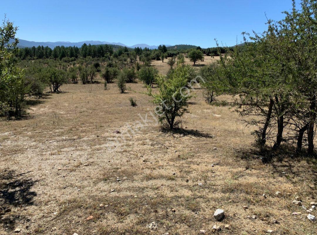 Tavas Aydoğdu Anayol Üzeri Asfalt Cephe 1600m2 Arazi - Görsel 5