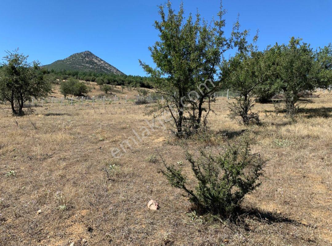 Tavas Aydoğdu Anayol Üzeri Asfalt Cephe 1600m2 Arazi - Görsel 4