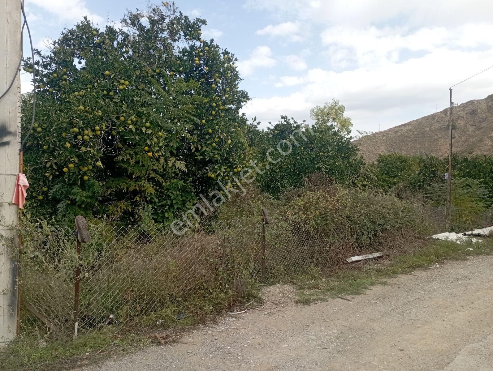 Çiğdem Emlak'tan Müstakil Tadında Kiralık Dubleks Ev - Görsel 22