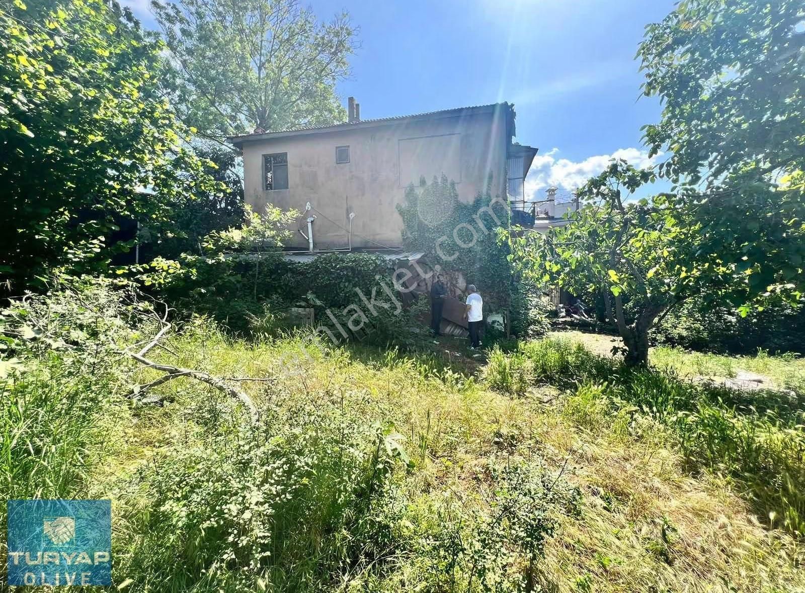 Beykoz Yenimahalle Nişanlı Satılık İmarlı Arsa - Görsel 2