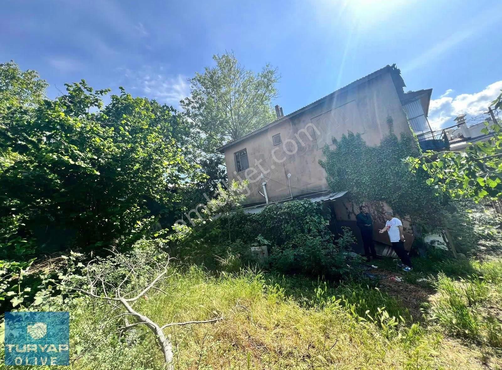 Beykoz Yenimahalle Nişanlı Satılık İmarlı Arsa - Görsel 5