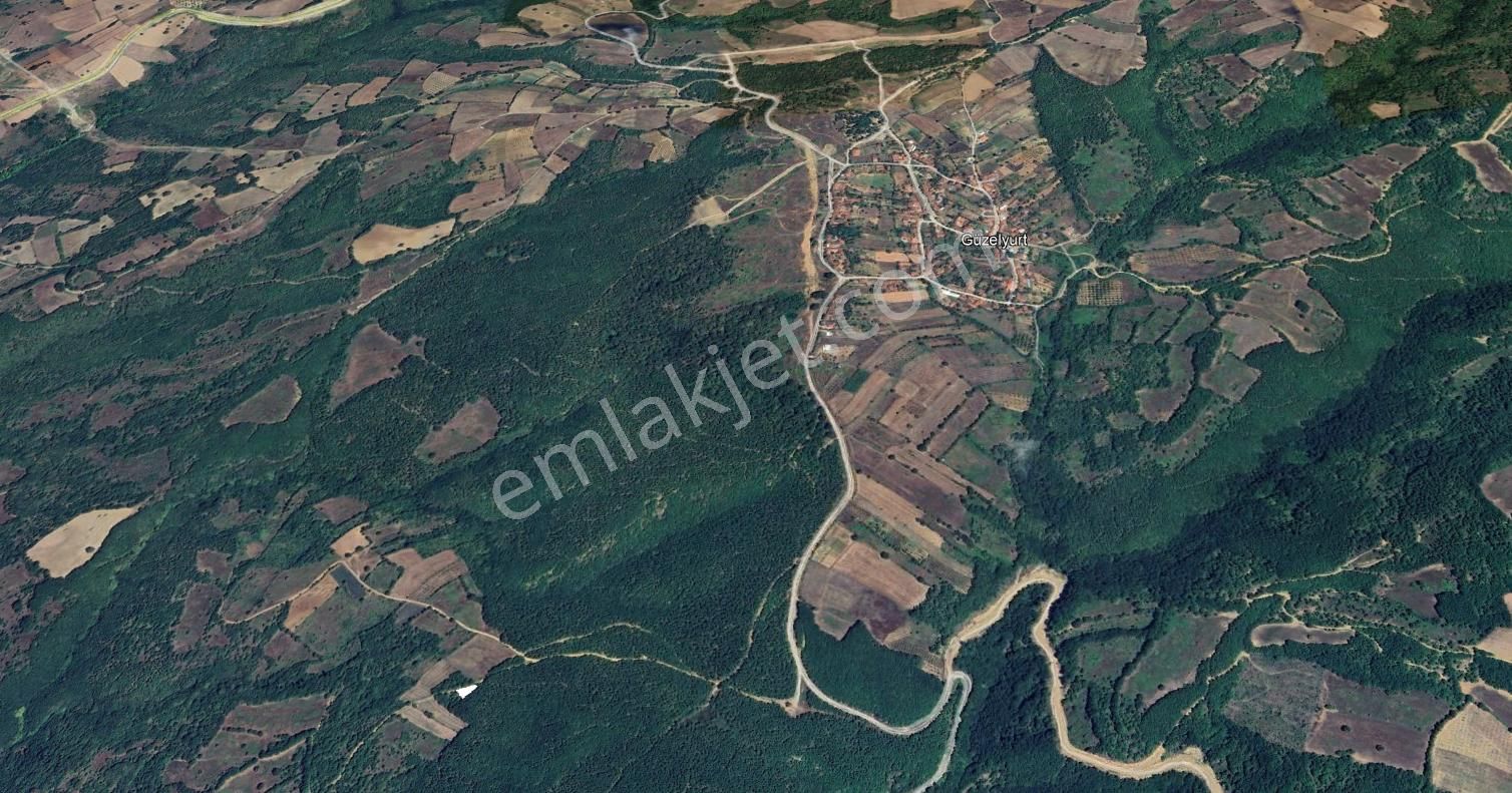 Sinerji'den İnegöl Güzelyurt Köye Yakın Yola Cephe 335 M2 Arazi - Görsel 4