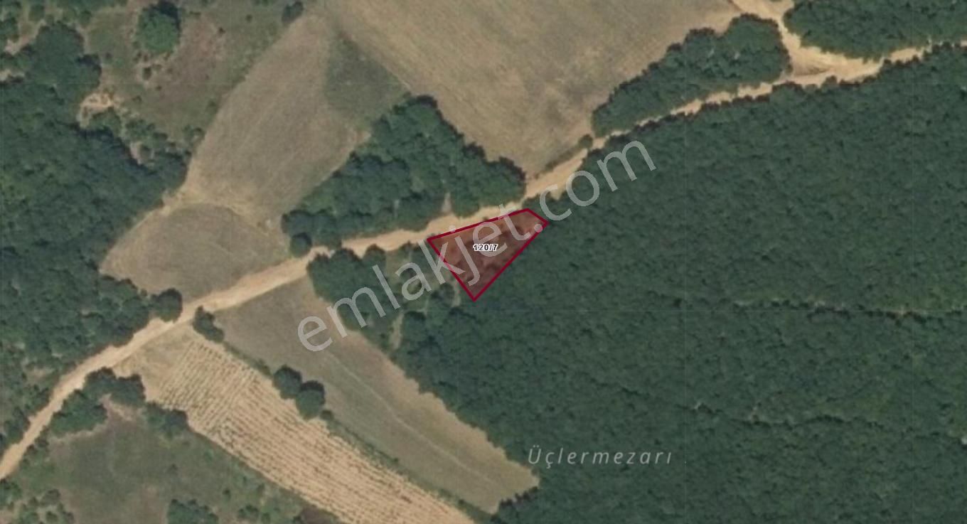 Sinerji'den İnegöl Güzelyurt Köye Yakın Yola Cephe 335 M2 Arazi