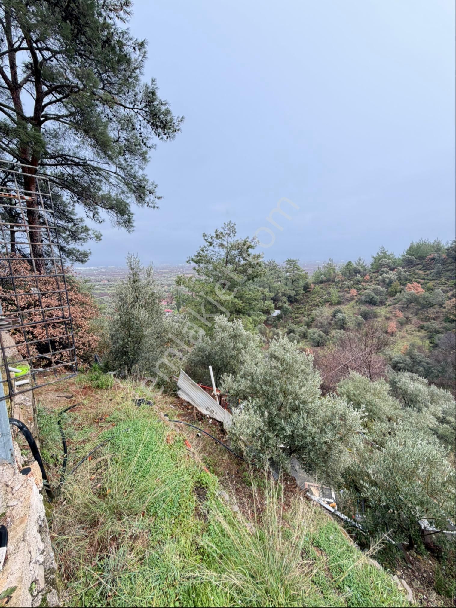 İzmir Kemalpaşa Ören 75.yıl Cumhuriyet Mahde 12597 M2 Tam Tapu Bağ Bahçe - Görsel 3