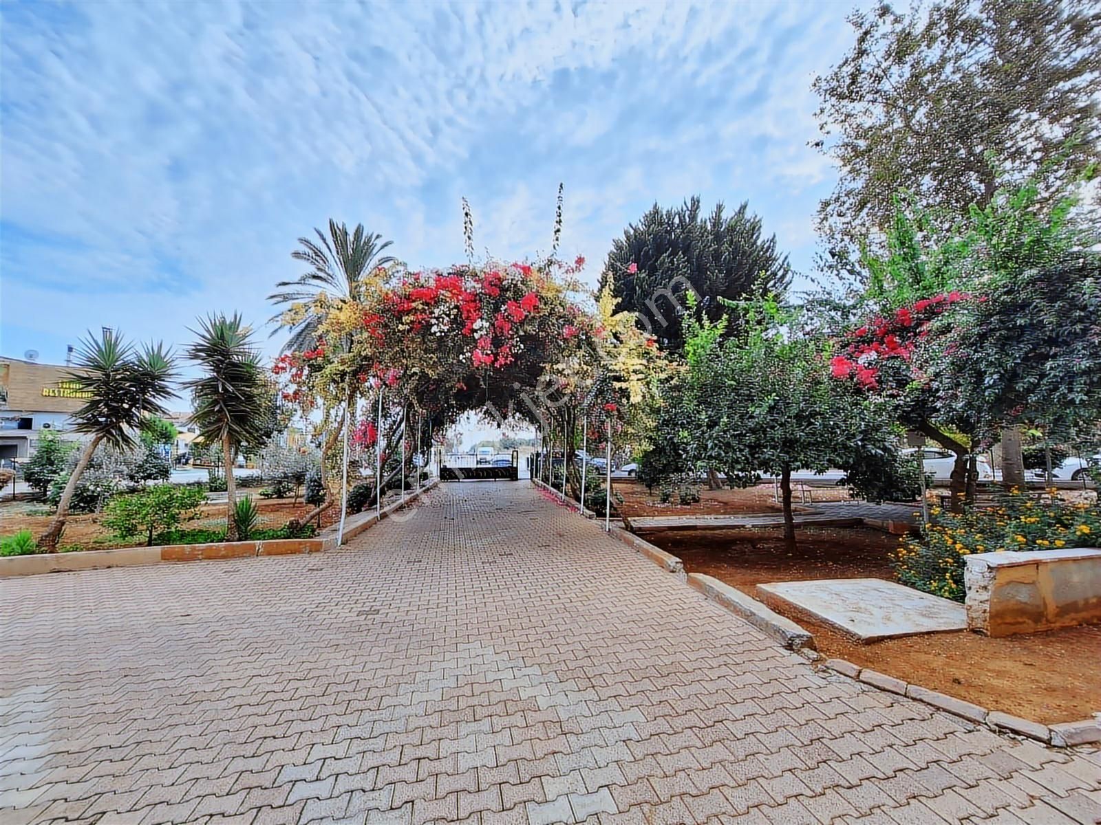 Viran Şehir Sahili Satılık 3+1 Daire - Görsel 5