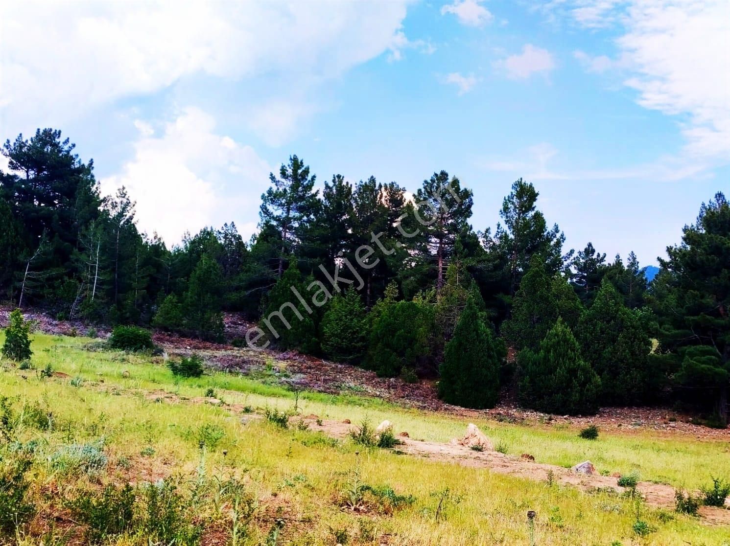 Kar Emlaktan Alpu Radar Yolunda 400 M2 Satılık Arsa - Görsel 8