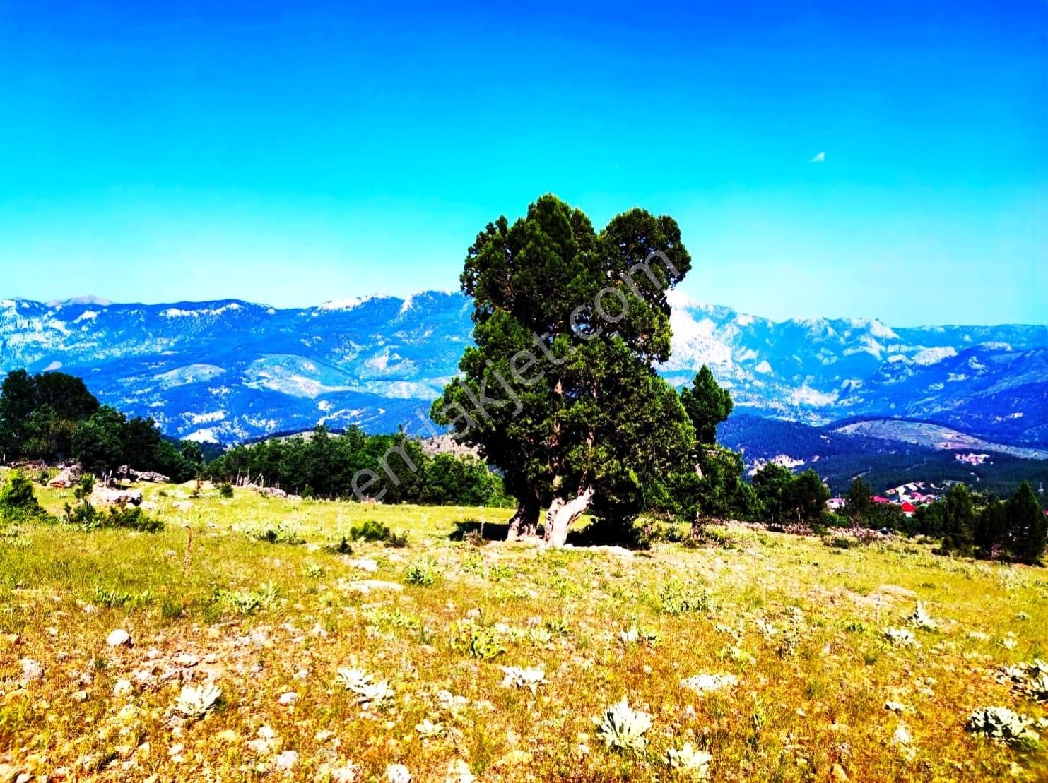 Kar Emlaktan Yenikonacıkta Yüksek Konumlu 375 M2 Satılık Arsa