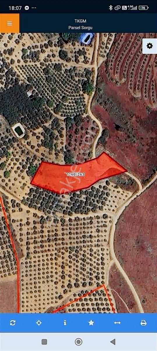 Daimi Taşkın Gayrimenkul'den İznik Tacir Köyünde Satılık Tarla - Görsel 4