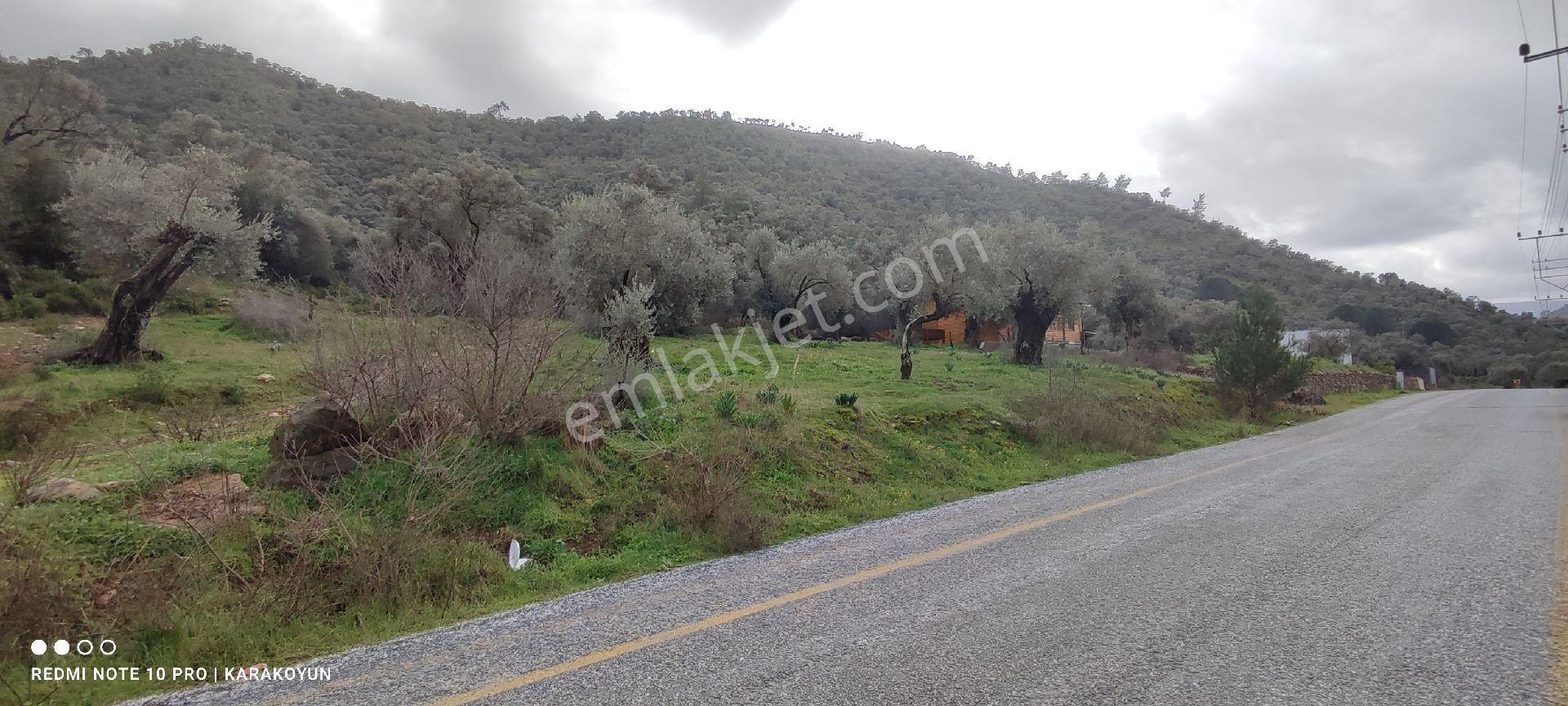 Milas Kandak Köyünde Satılık Hobi Bahçesi - Görsel 4