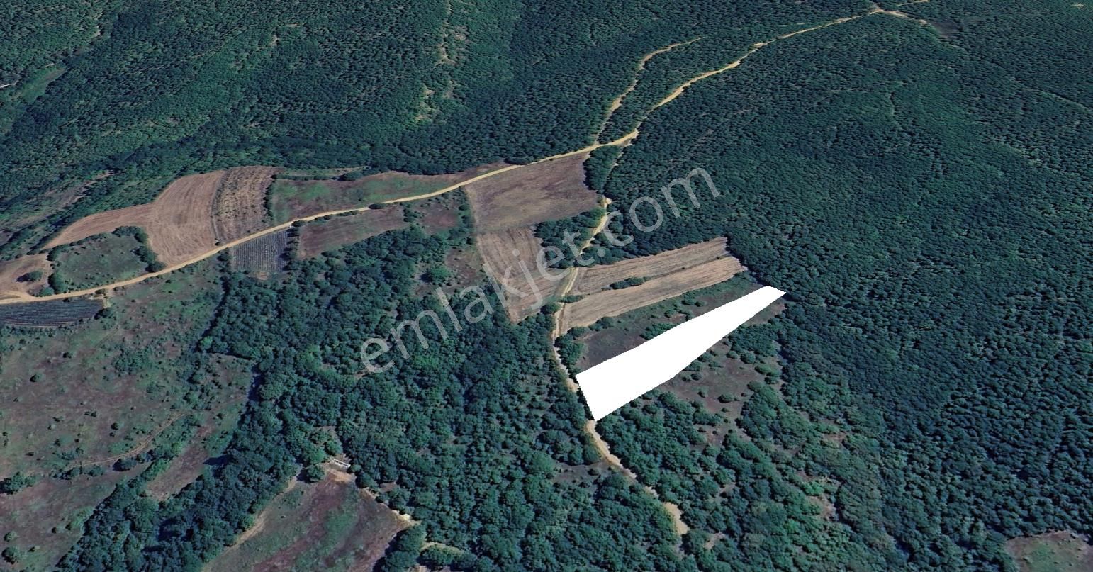 Sinerji'den İnegöl Güzelyurt Köye Yakın Yola Parsel 2.348 M2 Arazi - Görsel 4