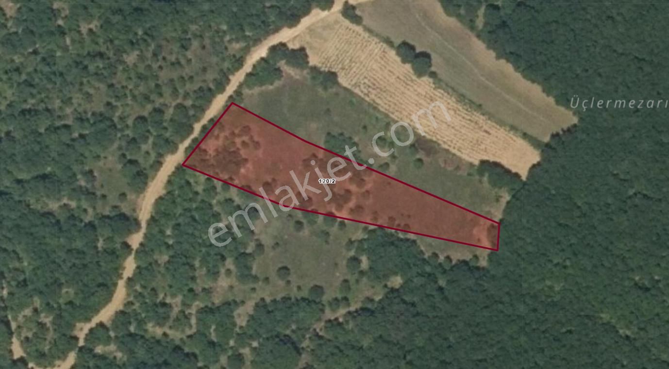 Sinerji'den İnegöl Güzelyurt Köye Yakın Yola Parsel 2.348 M2 Arazi