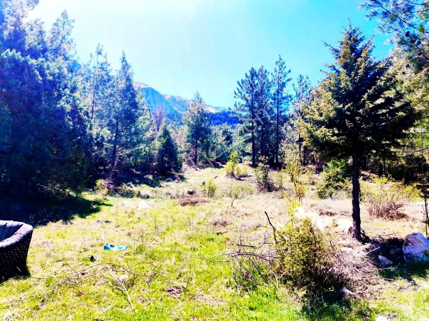 Kar Emlaktan Eskikonacık Çayır Yaylasında 1 Dönüm Satılık Arsa - Görsel 7