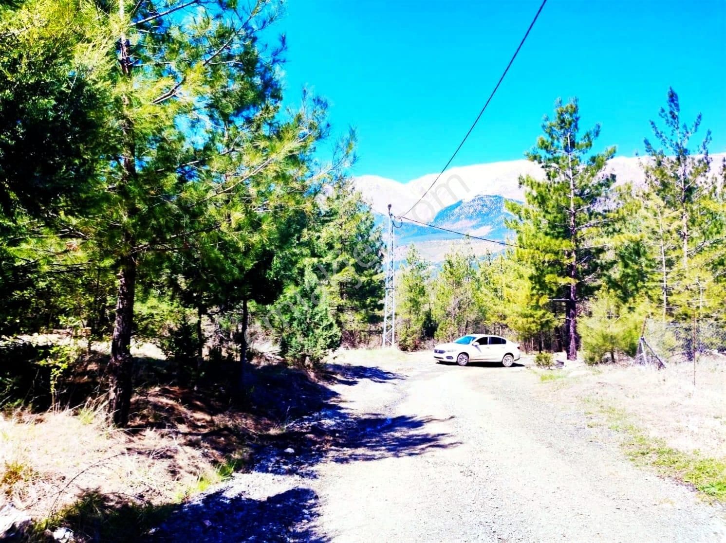 Kar Emlaktan Eskikonacık Çayır Yaylasında 1 Dönüm Satılık Arsa - Görsel 30