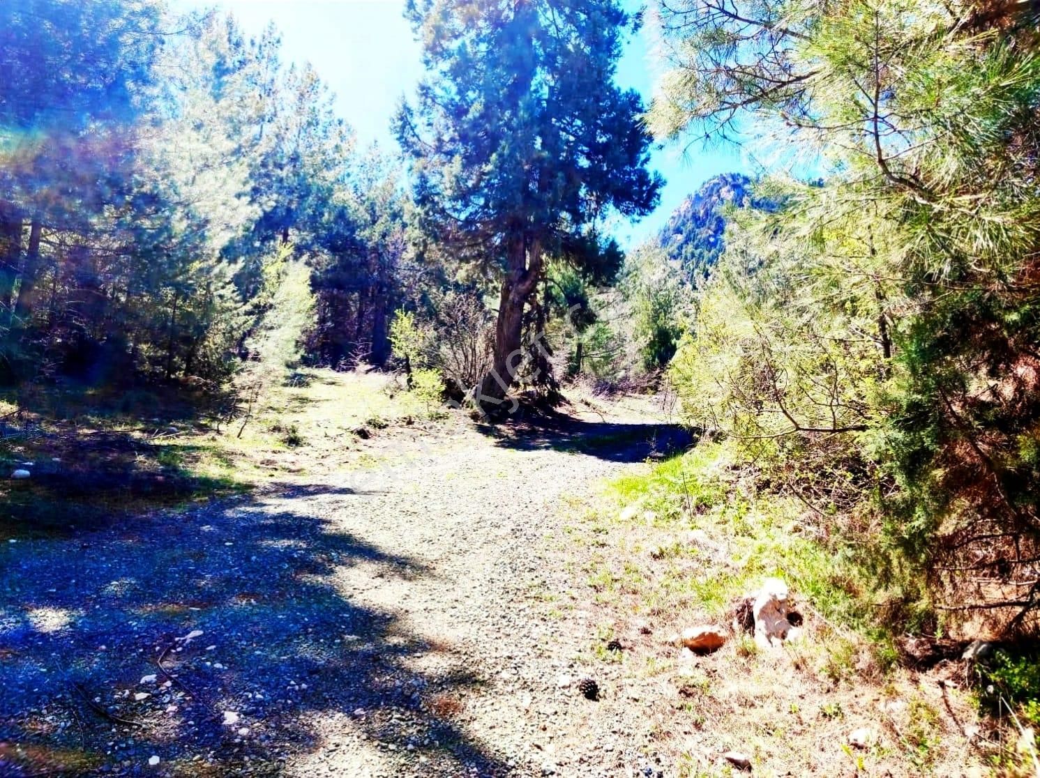 Kar Emlaktan Eskikonacık Çayır Yaylasında 1 Dönüm Satılık Arsa - Görsel 11