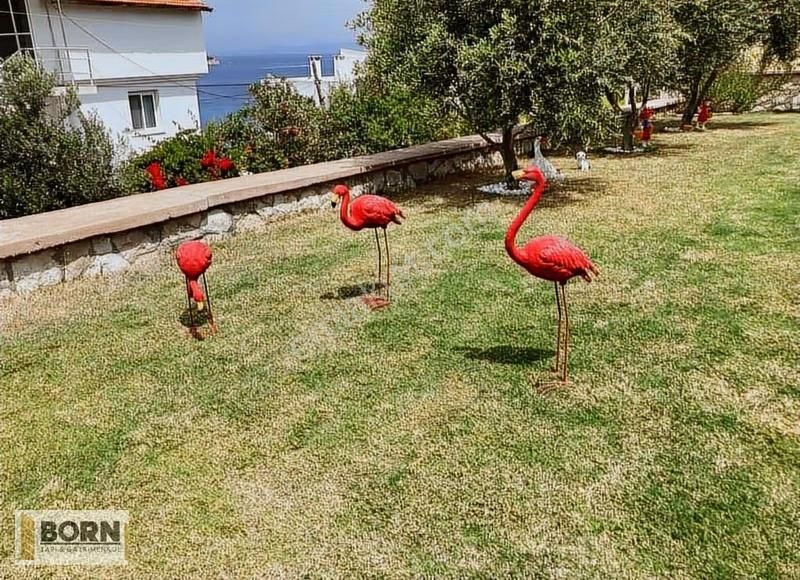 Karaburunda Denize Sıfır Müstakil Ev - Görsel 9