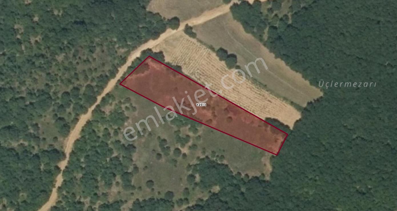 Sinerji'den İnegöl Güzelyurt Köye Yakın Yola Parsel 2.217 M2 Arazi