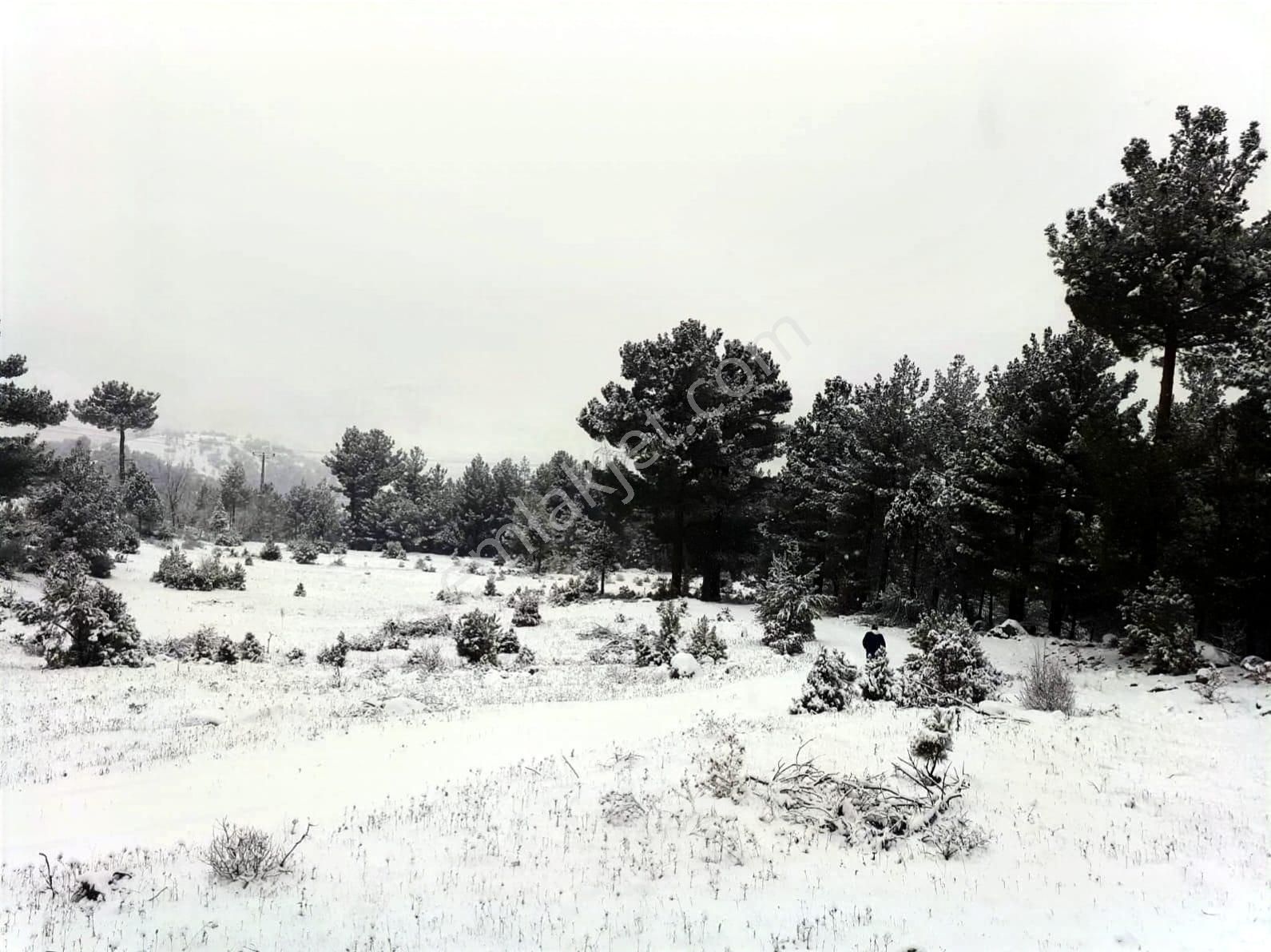 Kar Emlaktan Gökbez Yaylasında İmara Uygun 10 Dönüm Satılık Tarla - Görsel 29
