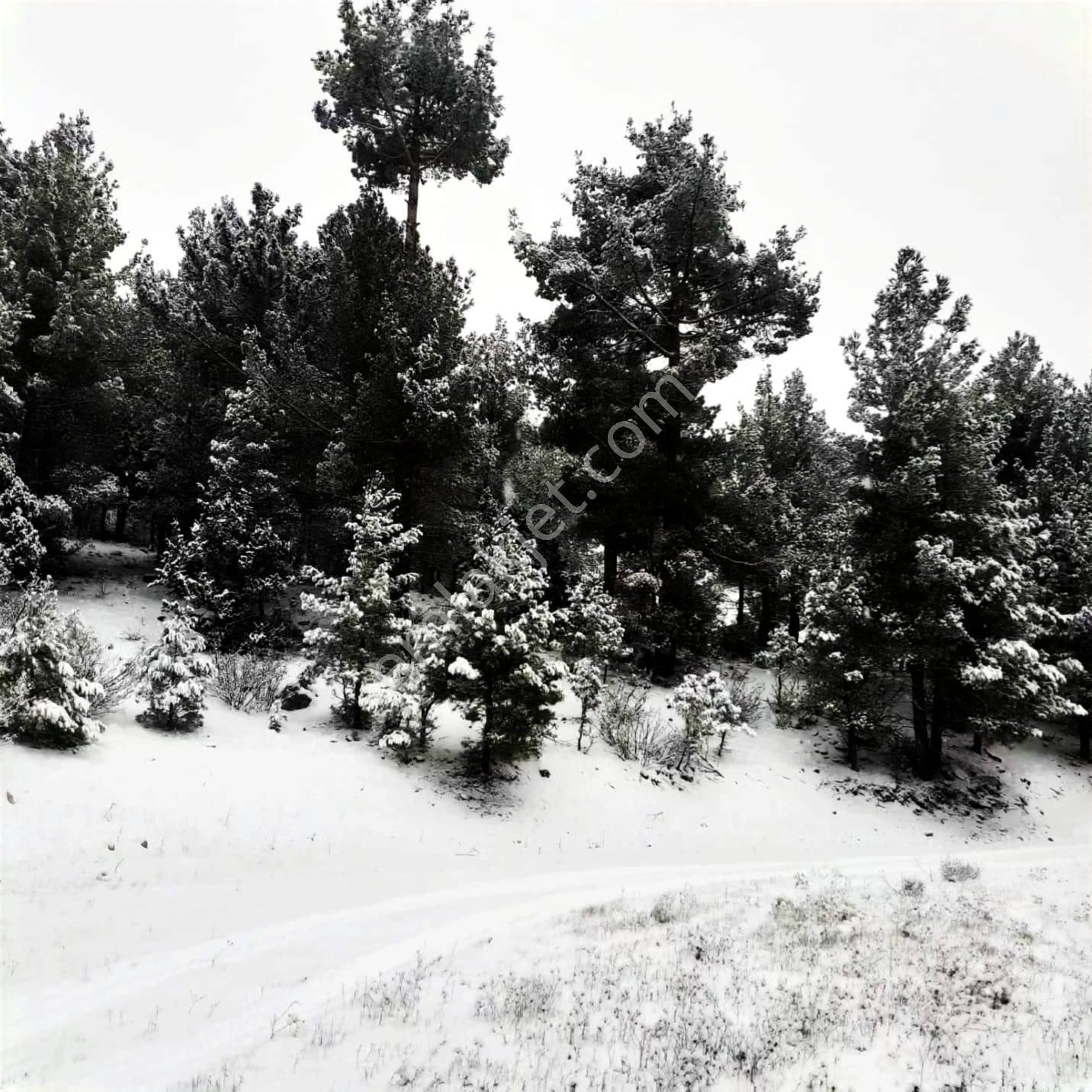 Kar Emlaktan Gökbez Yaylasında İmara Uygun 10 Dönüm Satılık Tarla - Görsel 4