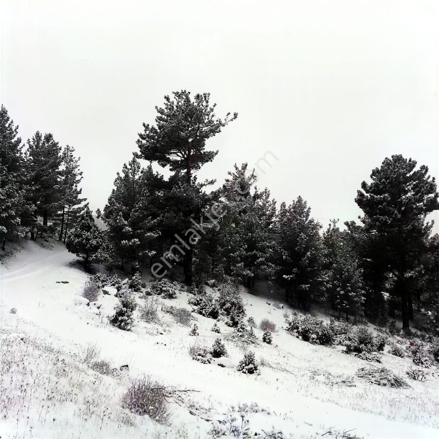 Kar Emlaktan Gökbez Yaylasında İmara Uygun 10 Dönüm Satılık Tarla - Görsel 18