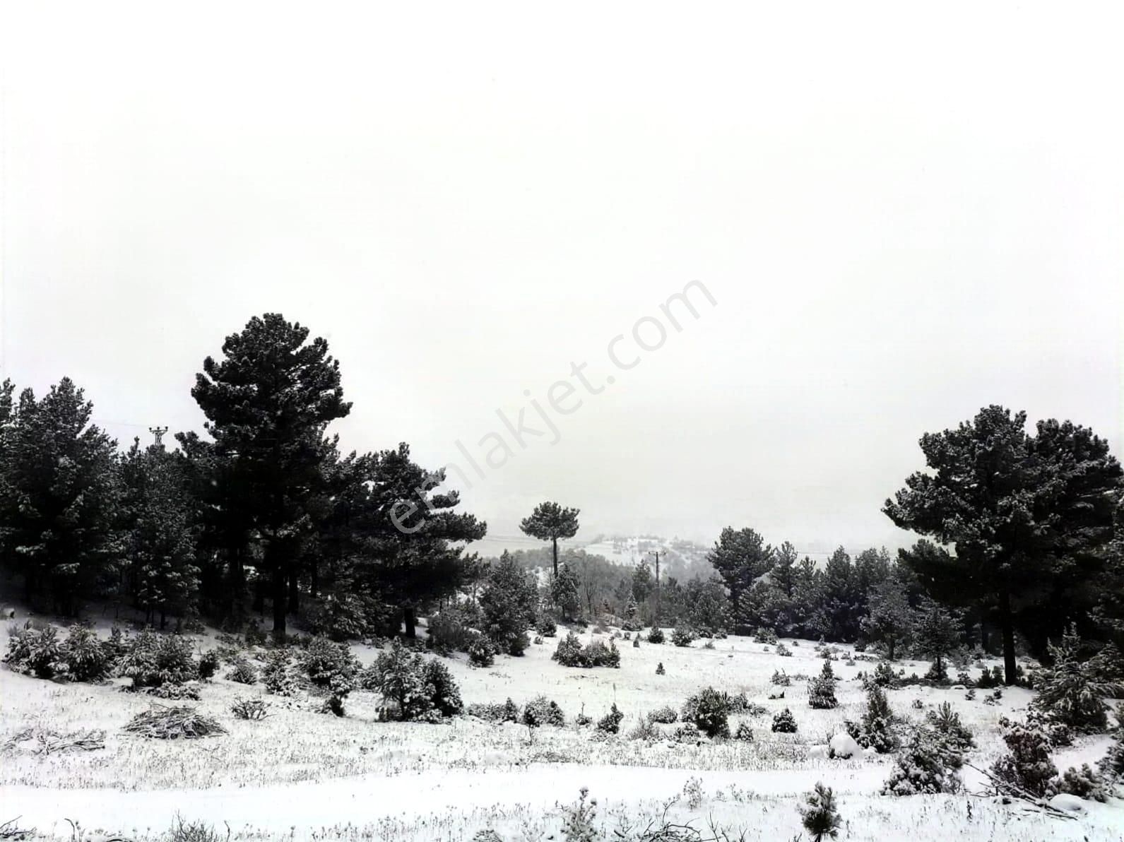 Kar Emlaktan Gökbez Yaylasında İmara Uygun 10 Dönüm Satılık Tarla - Görsel 28