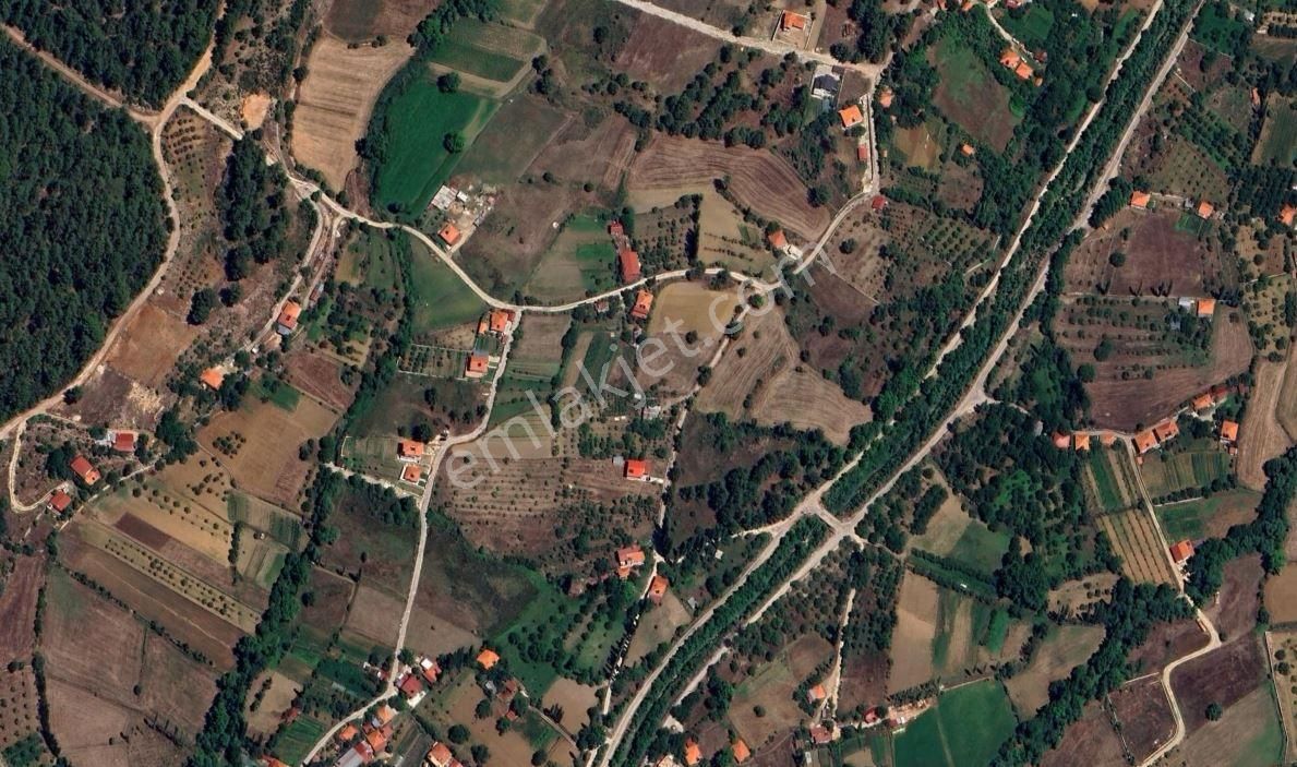 Goldhouse Dan Satılık Nif De Köy İçi İmarlı Arsa