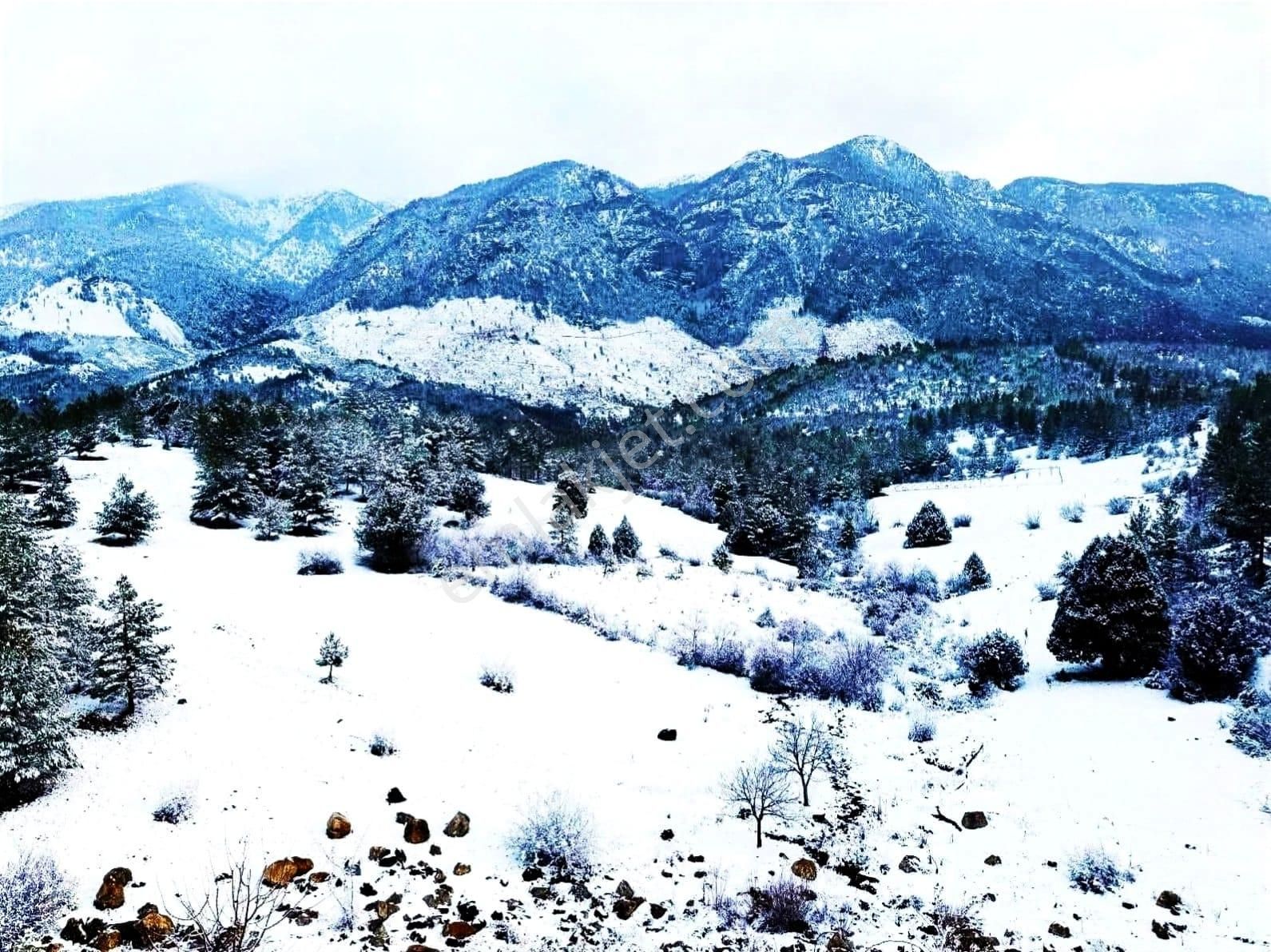 Kar Emlaktan Alpu Yaylasında İmara Uygun 5 Dönüm Satılık Tarla