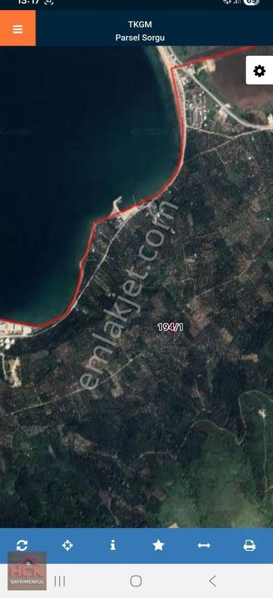 Hçk Gayrimenkul'den Edincikte Düz Zeytinlik - Görsel 4