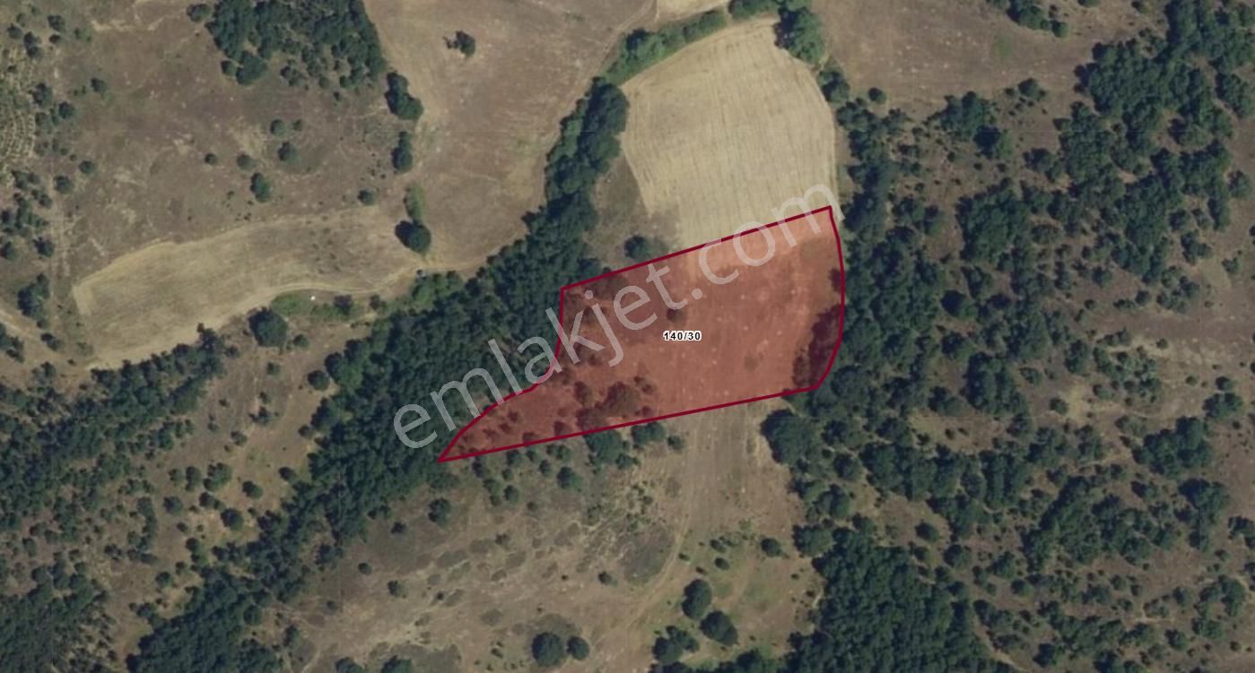 Sinerji'den Kestel Kayacık Ta Güzel Konumda Satılık 8.337 M2 Arazi